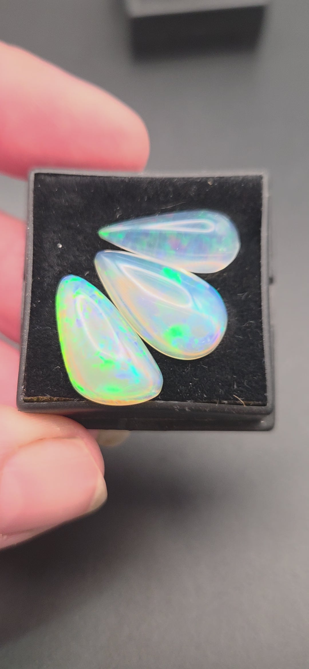 Welo Opal Cabochons 12.5 Total Carat Weight