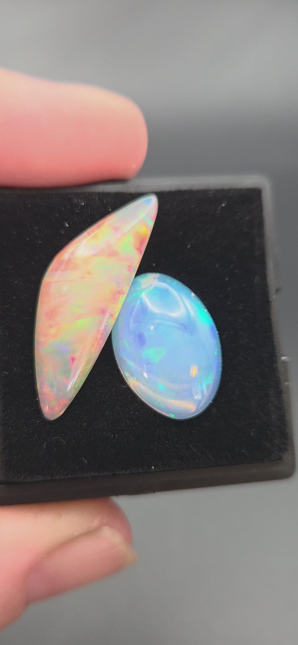 Welo Opal Cabochons 2 Piece Set 12.80 Total Carat Weight