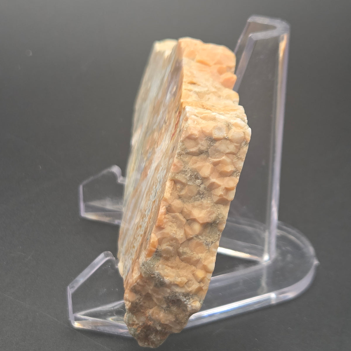 Detail of Polished Ocean Jasper Slab
