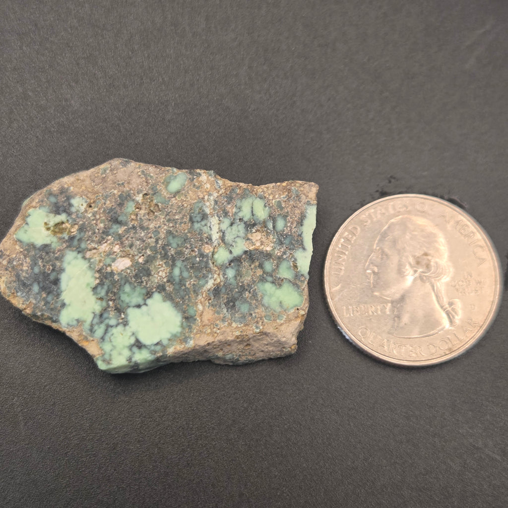 Detail of Angel Wing Variscite