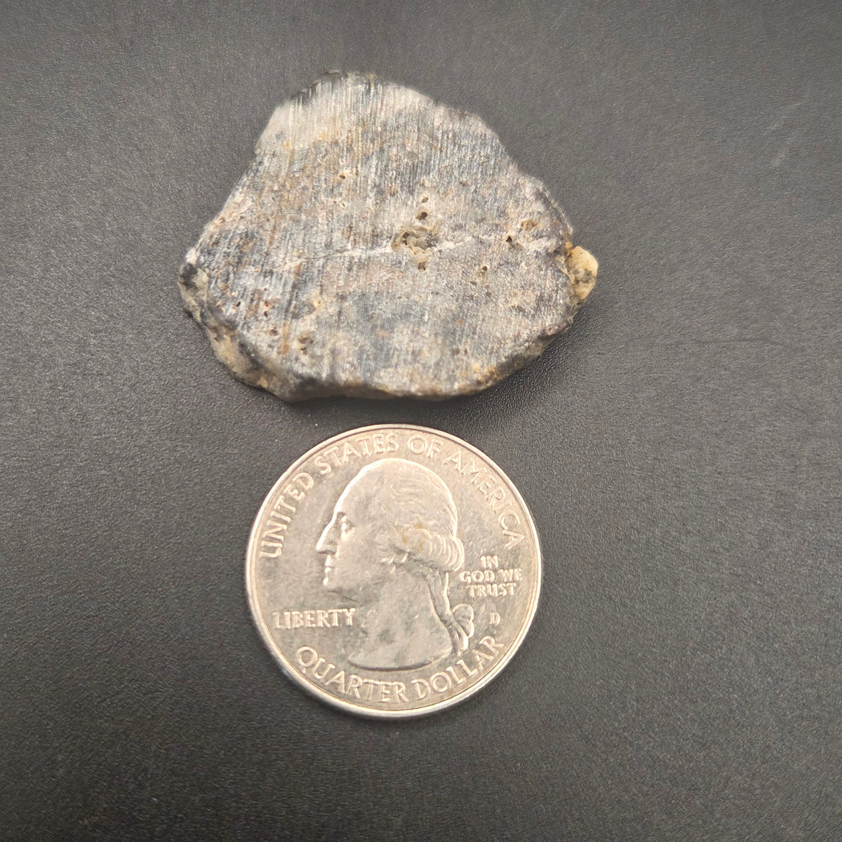 Native Gold in Quartz, McLaughlin Mine, California, additional view