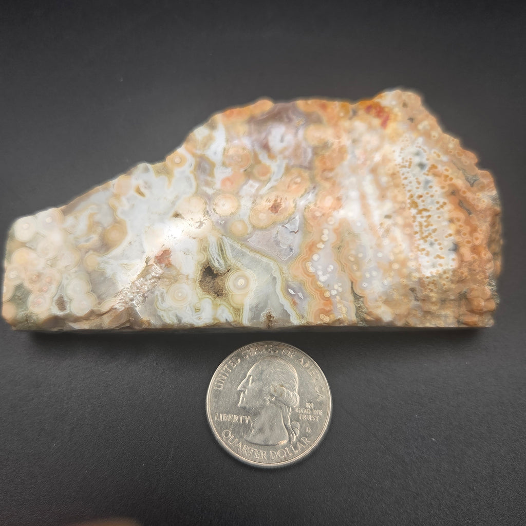 Polished Ocean Jasper Slab, additional view