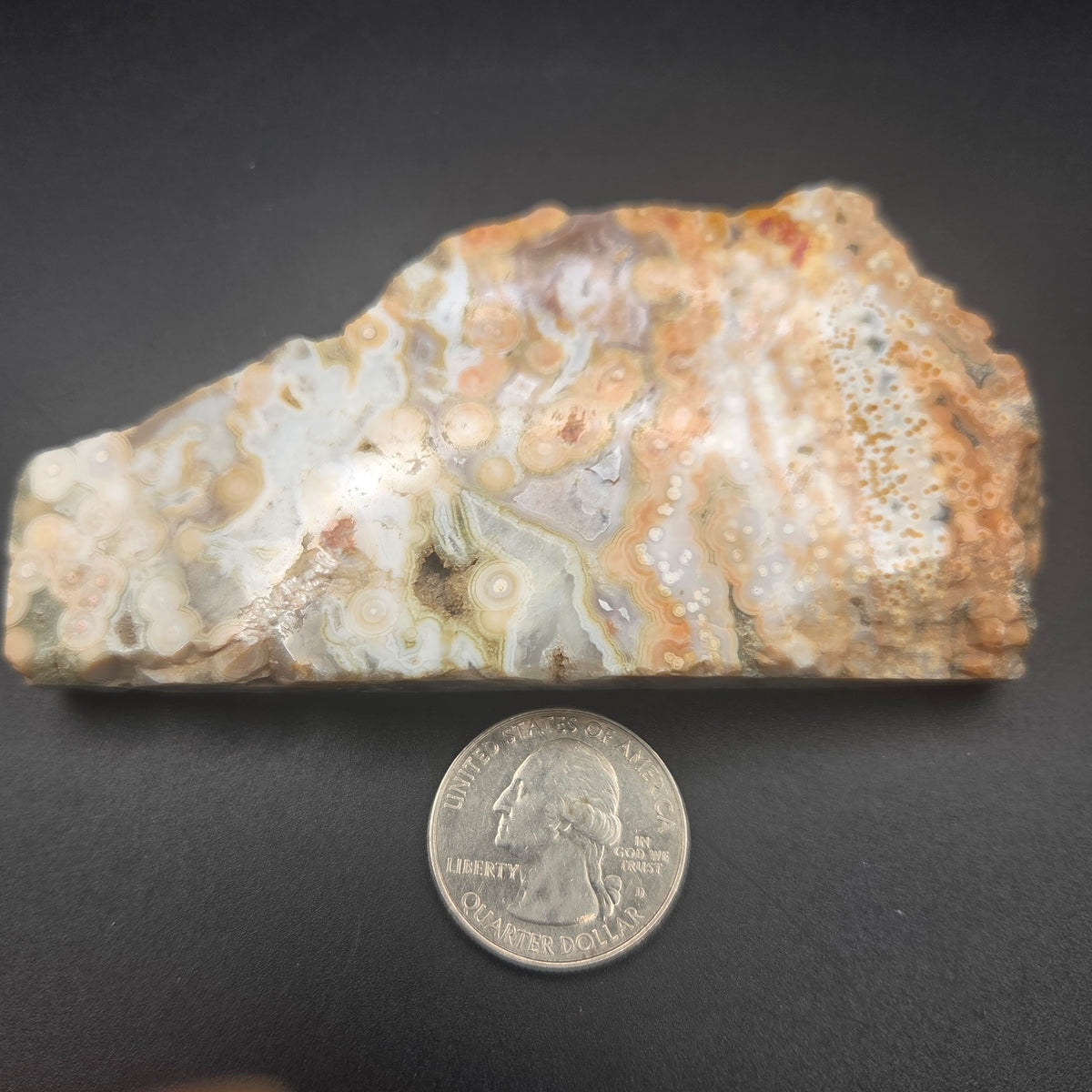 Polished Ocean Jasper Slab, additional view