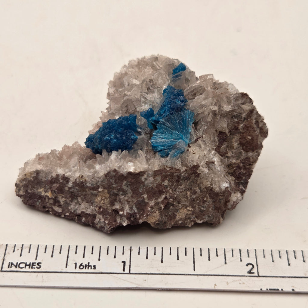Cavansite display specimen showing vivid blue crystal clusters