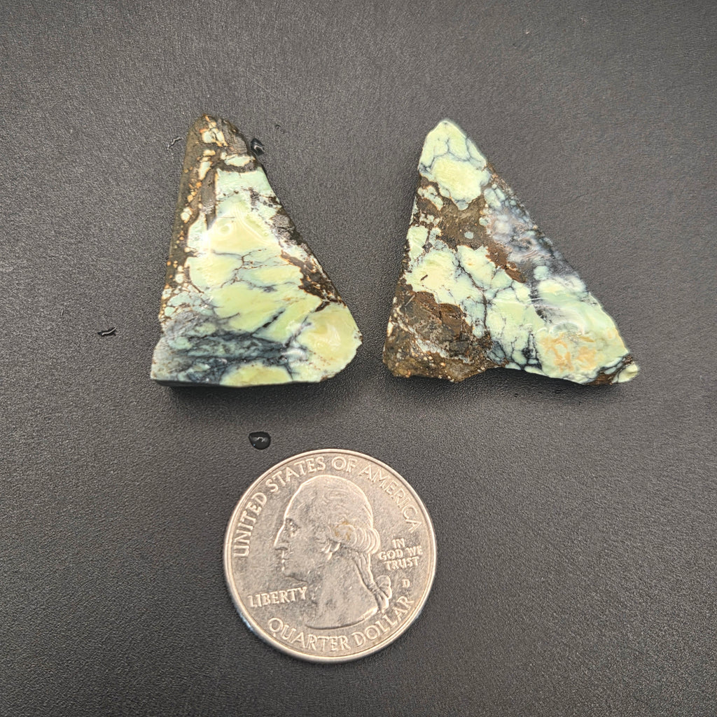 Angel Wing Variscite Pair, 14.82 grams — natural mineral specimen