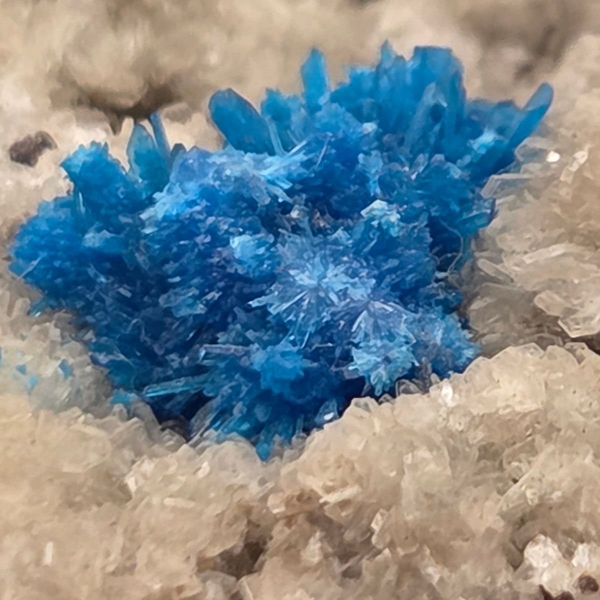 Detail of ball-shaped electric-blue cavansite crystal clusters
