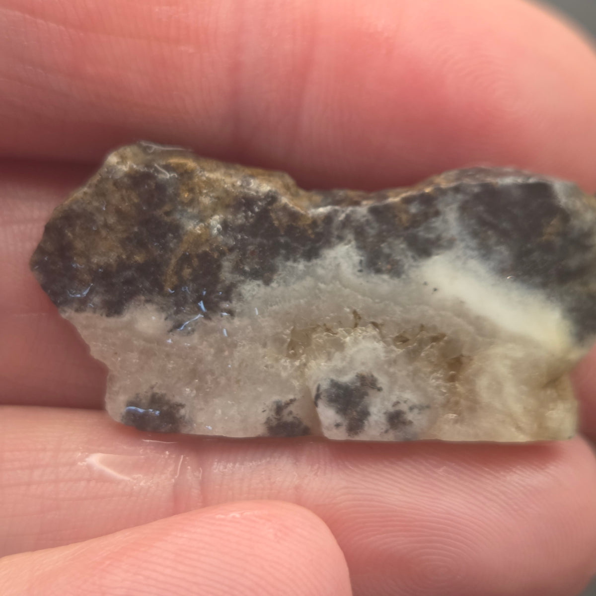 Close-up of Native Gold in Quartz, McLaughlin Mine, California