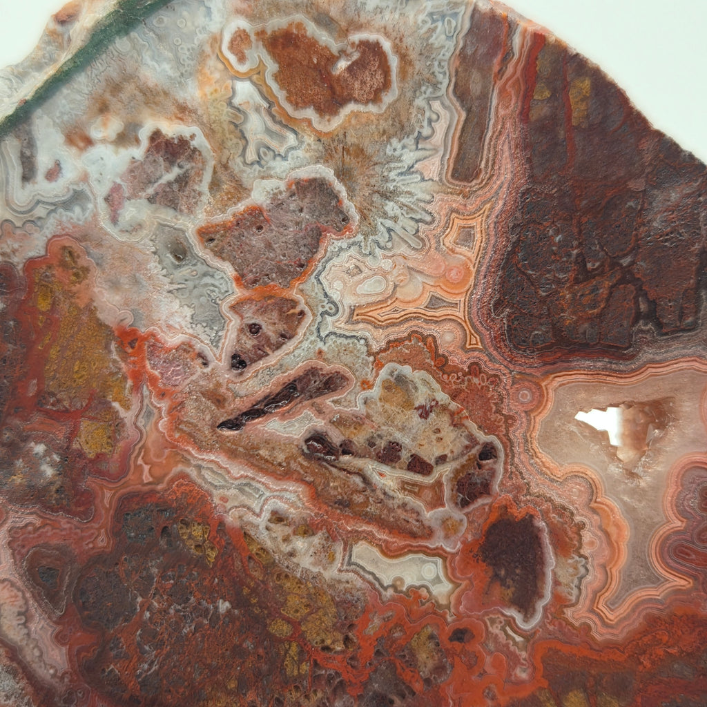 Close-up of Laguna Lace Agate Slab from Mexico