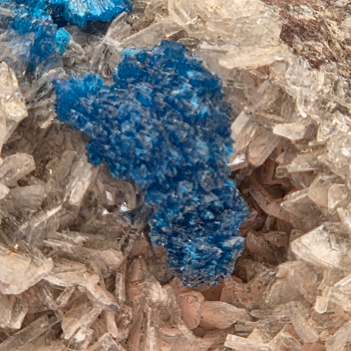 Close-up of cavansite's glassy blue crystal eyes