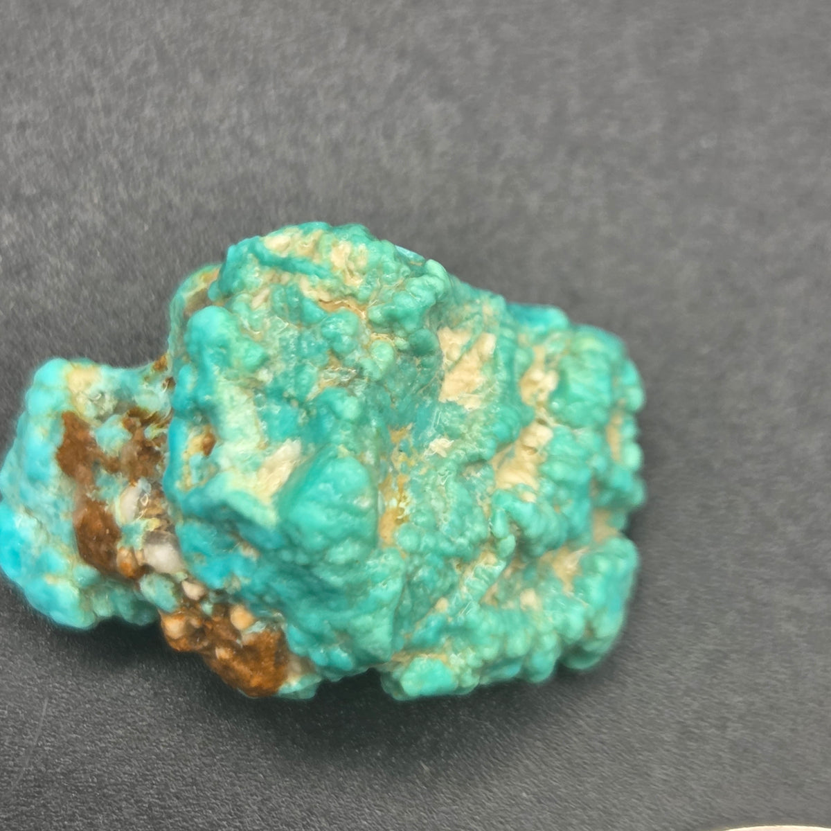 Natural Fox Turquoise 4 Piece Parcel, additional view