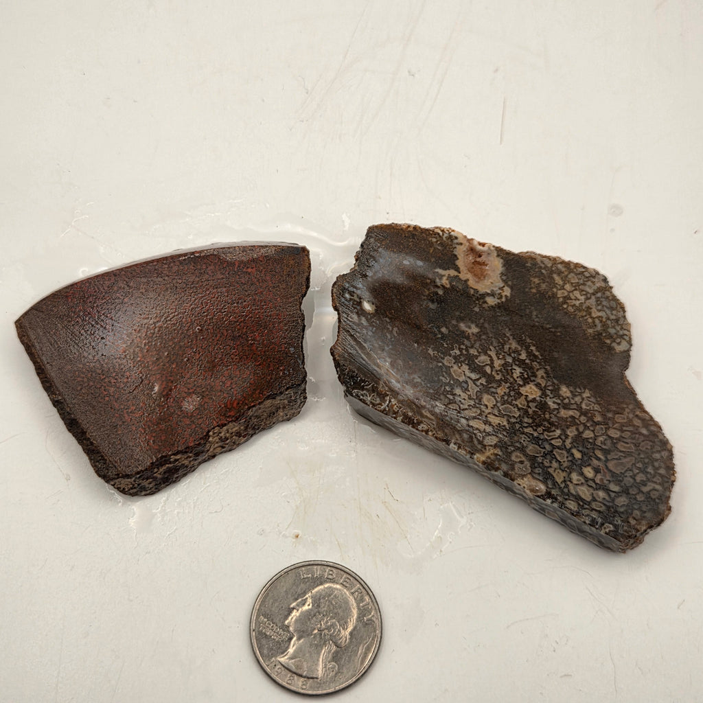 Gem Bone Slabettes 107 grams total, additional view