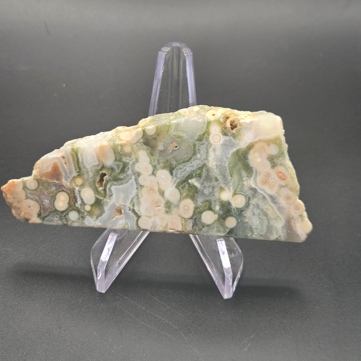 Close-up of Polished Ocean Jasper Slab