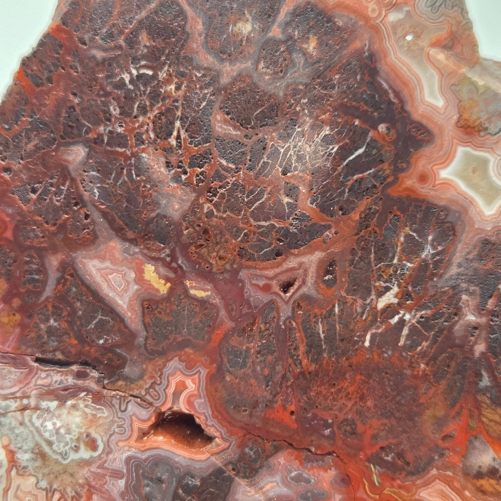 Alternate view of Laguna Lace Agate Slab from Mexico