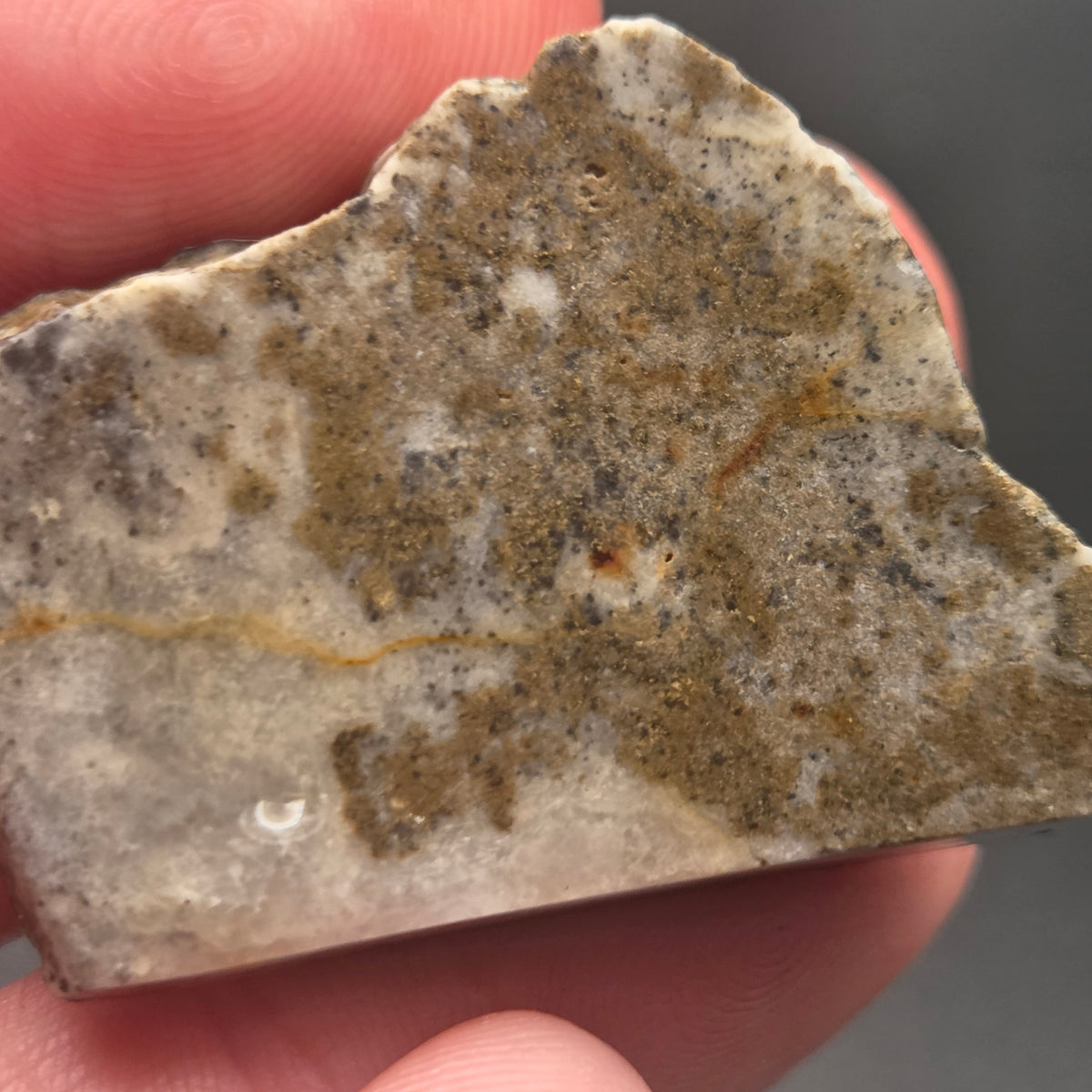 Native Gold in Quartz, McLaughlin Mine, California, 14.22 grams — natural mineral specimen