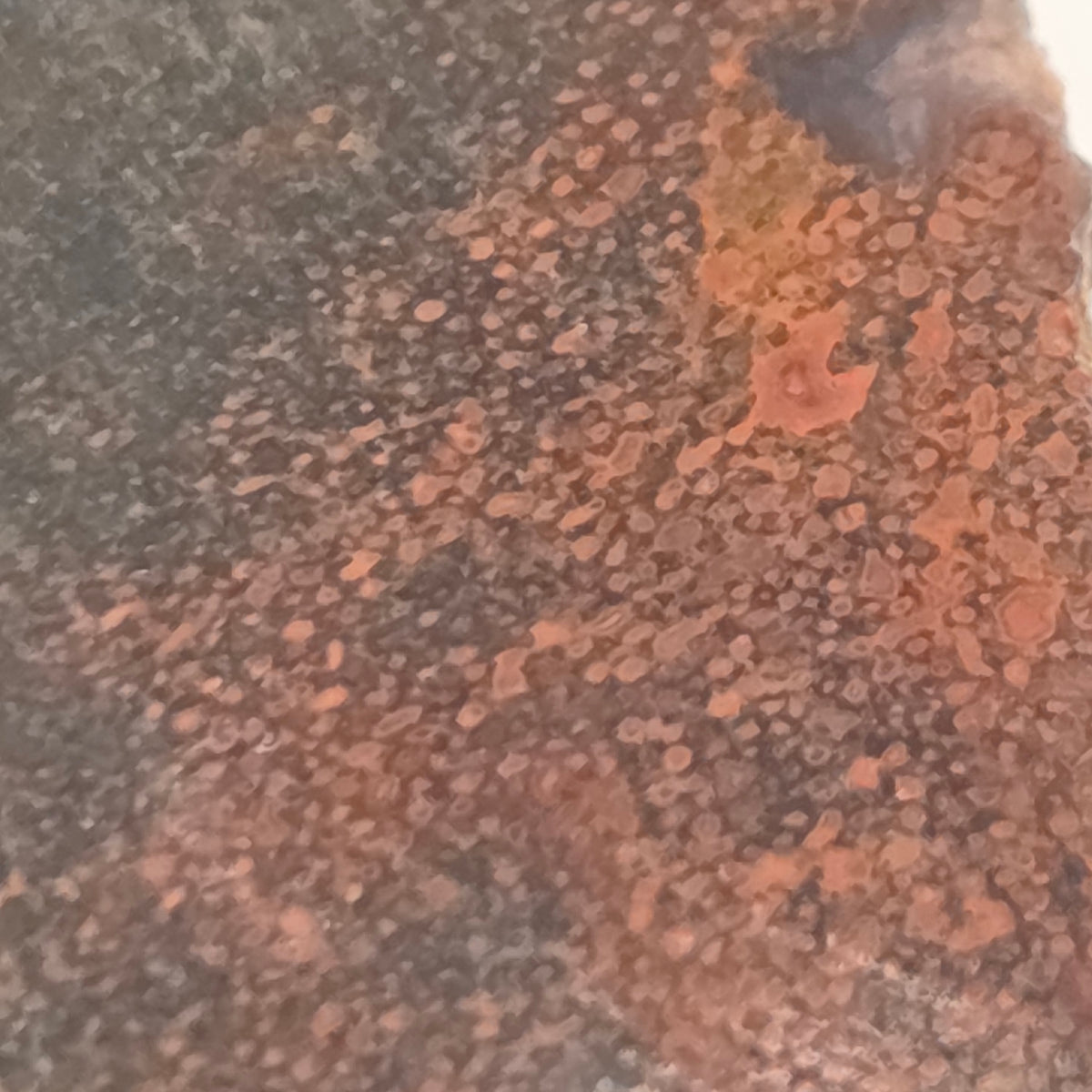 Alternate view of Gem Bone Slabettes 53 grams total