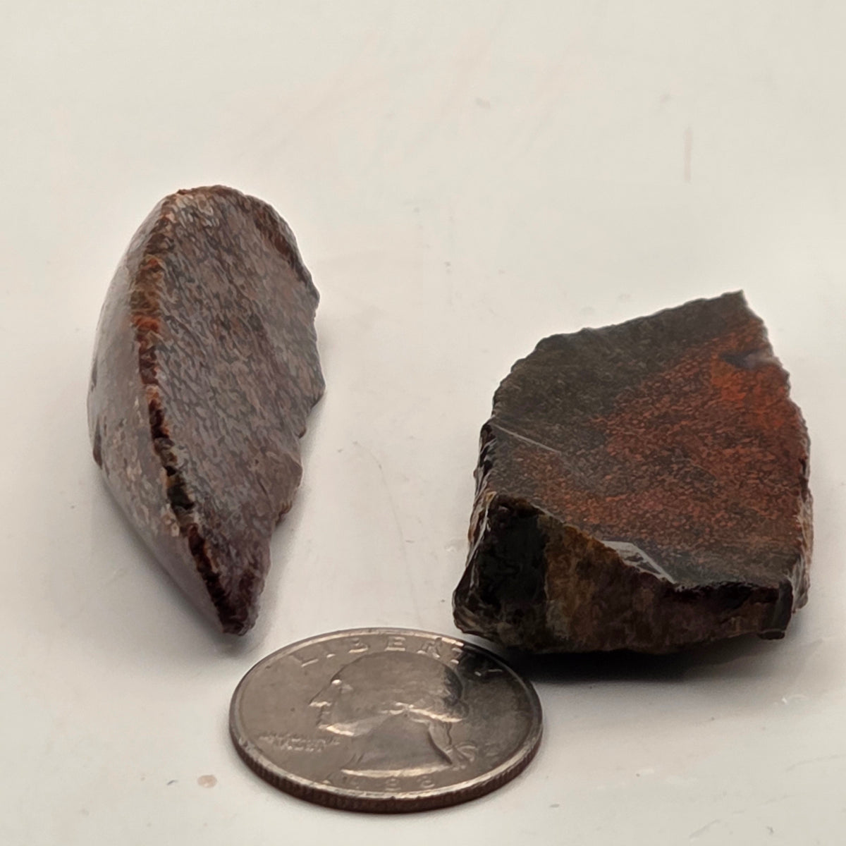 Detail of Gem Bone Slabettes 53 grams total