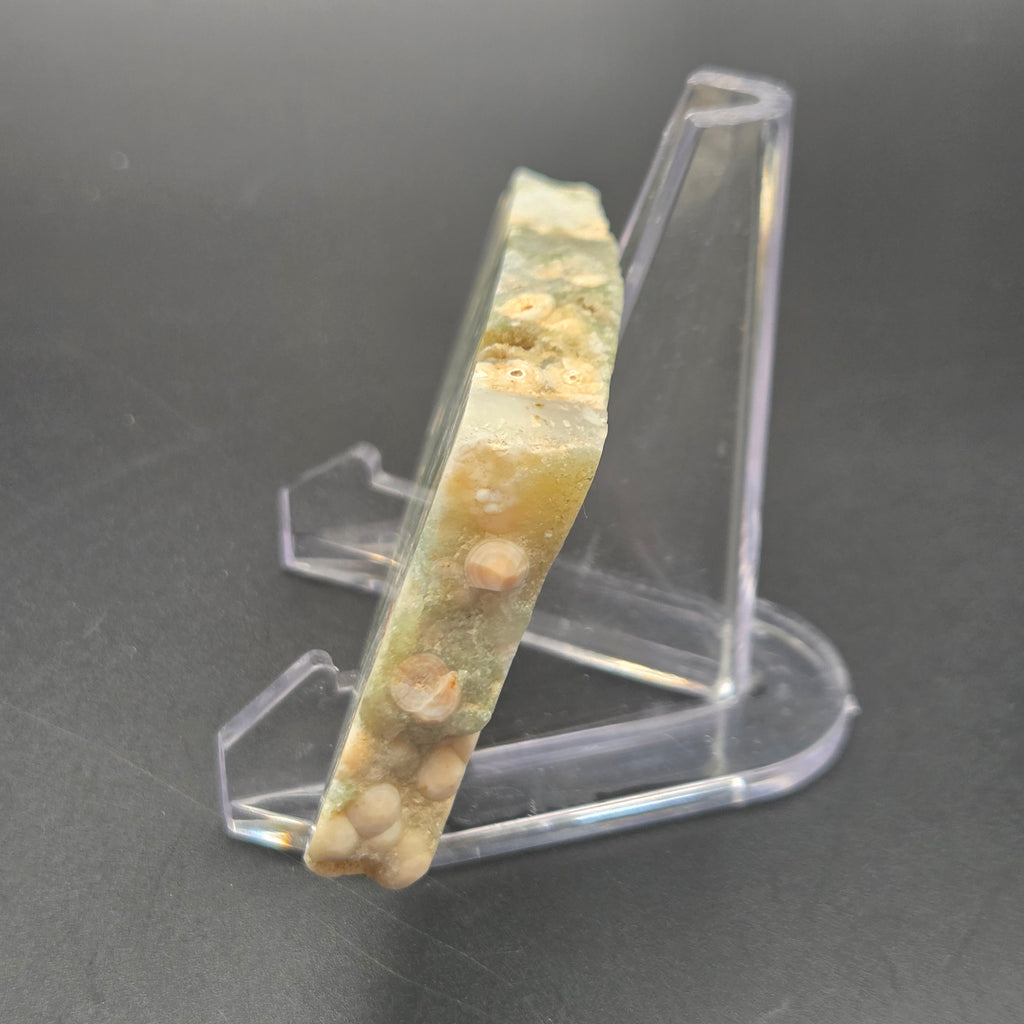 Alternate view of Polished Ocean Jasper Slab
