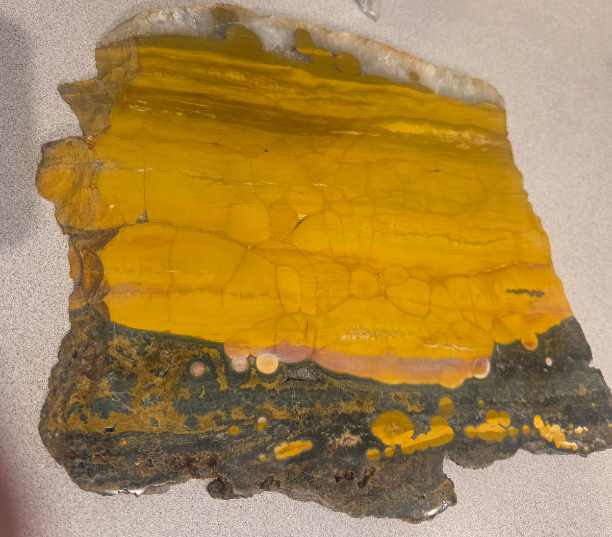 Polished Kambaby Ocean Jasper slab from Madagascar with bold orbicular eye patterns