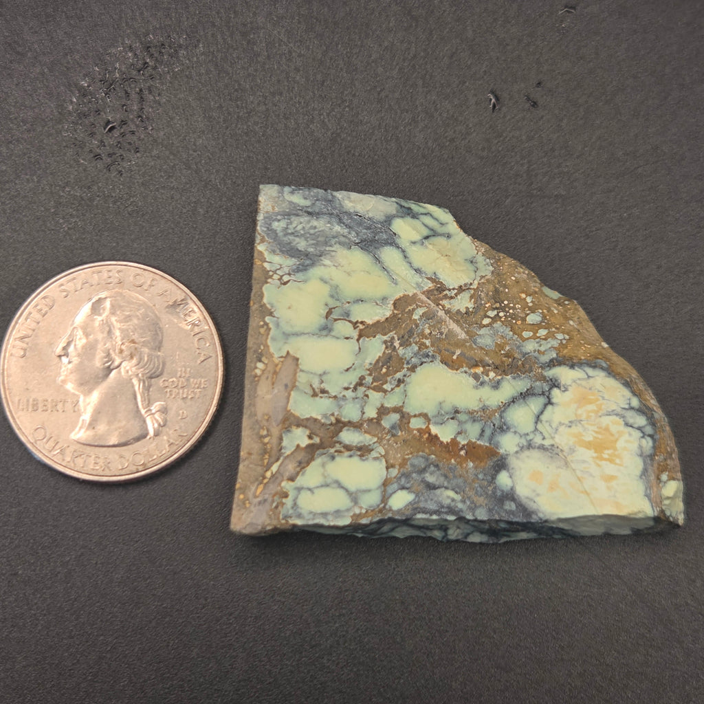 Alternate view of Angel Wing Variscite