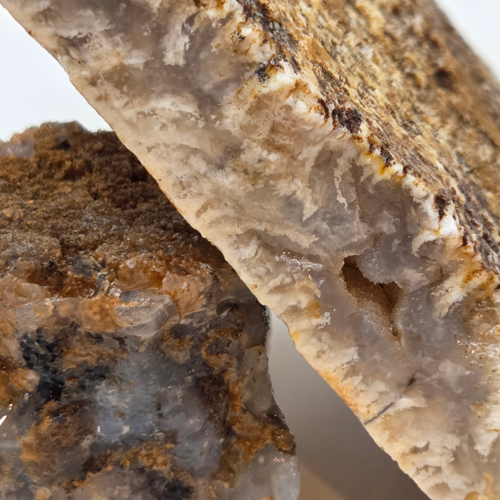 Close-up of Graveyard Point Plume Agate