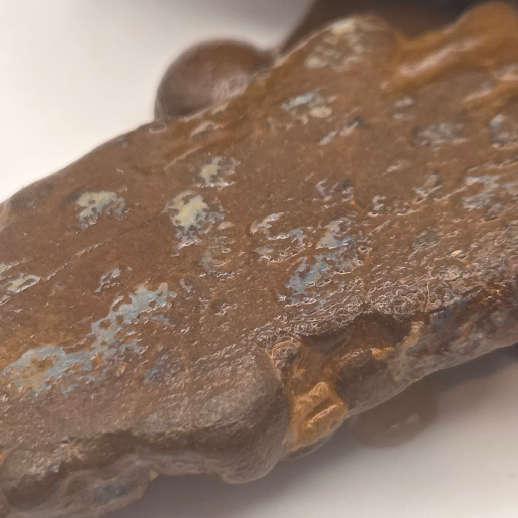Alternate view of Winton Opal