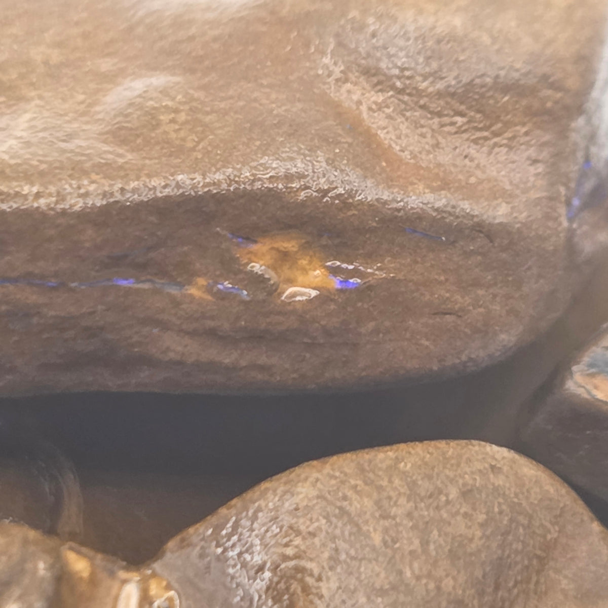 Detail of Winton Opal