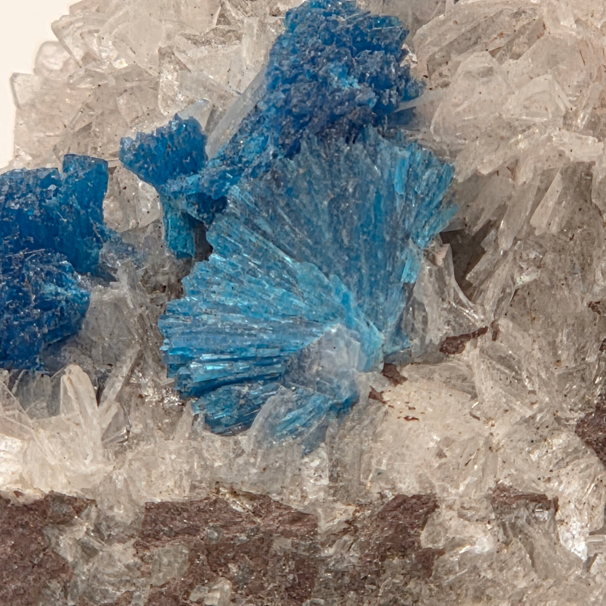 Angled view of natural cavansite specimen from Wagholi, India