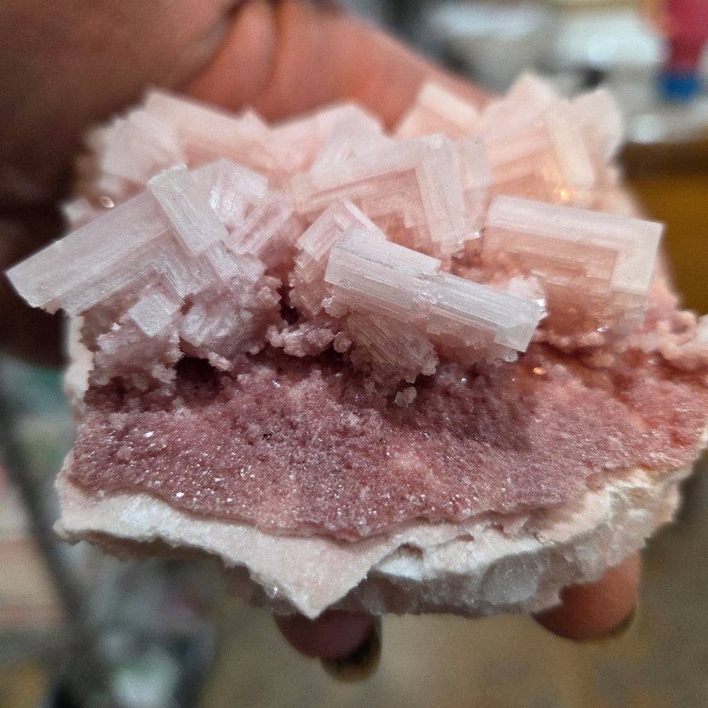 Alternate view of California Pink Halite Collector Specimen