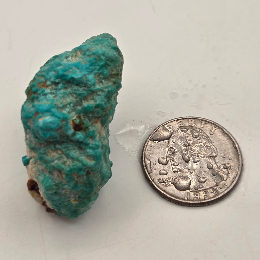Detail of Natural Fox Turquoise parcel