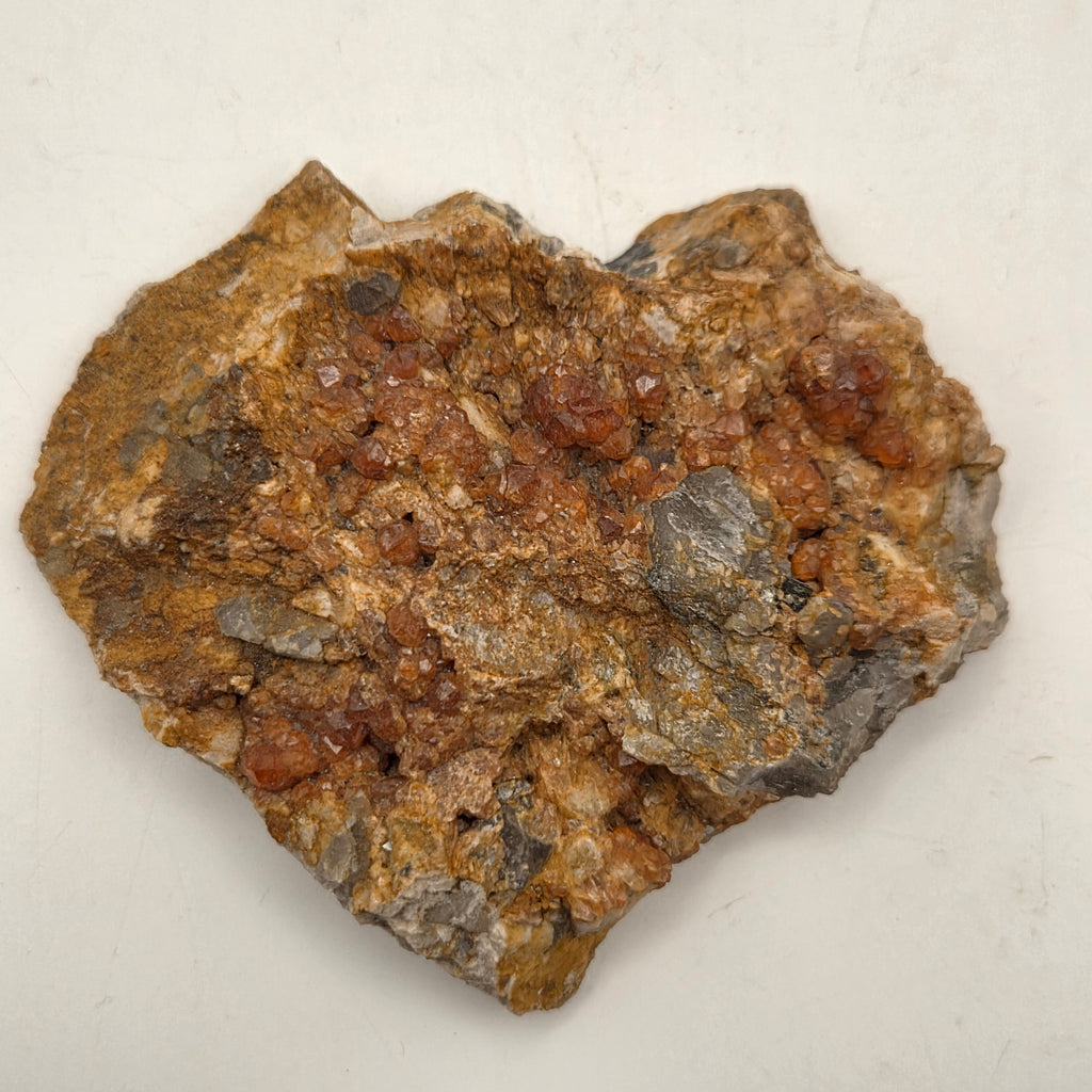 Close-up of spessartine garnet crystals on glassy smoky quartz