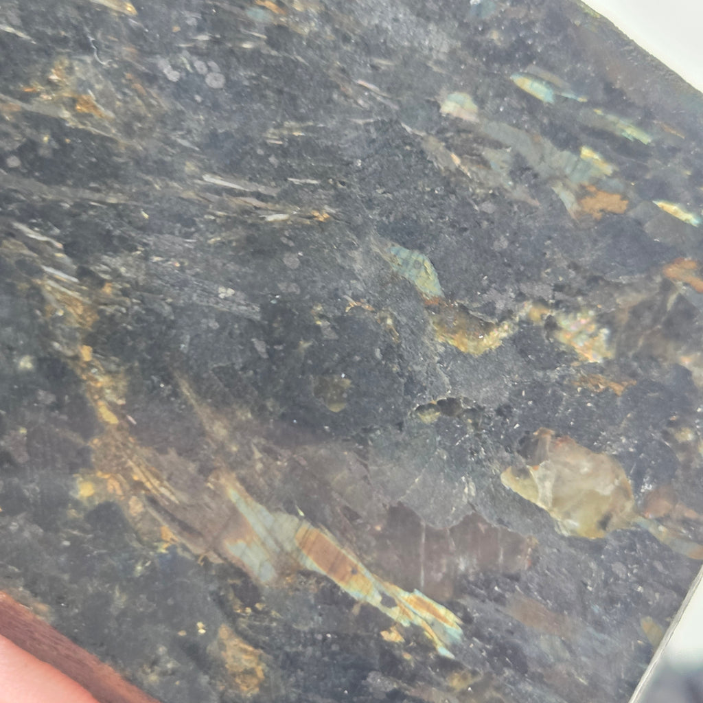 Close-up of Nuummite Slabs