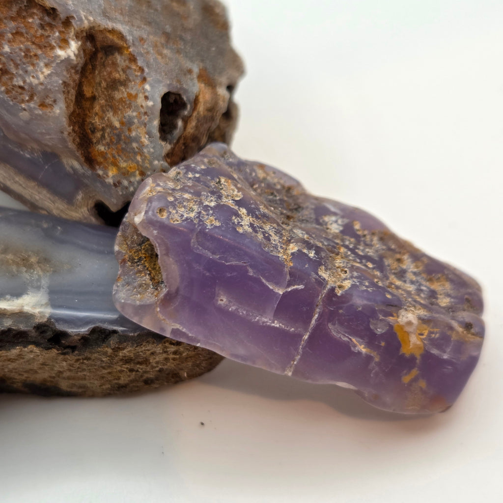 Close-up of Holley Blue Agate