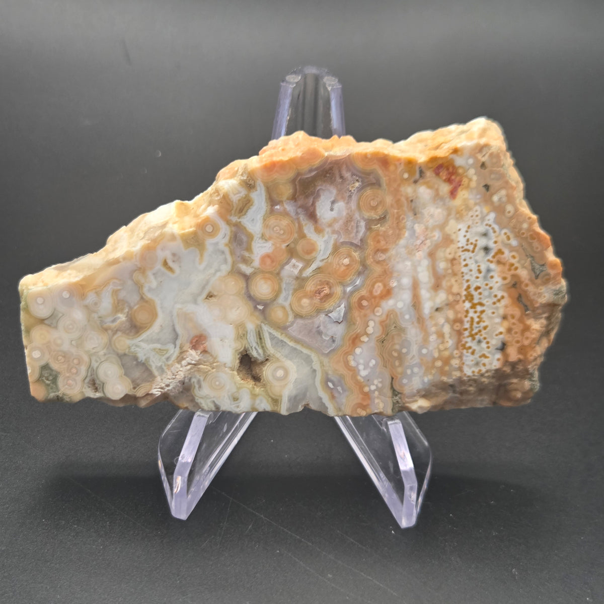 Close-up of Polished Ocean Jasper Slab