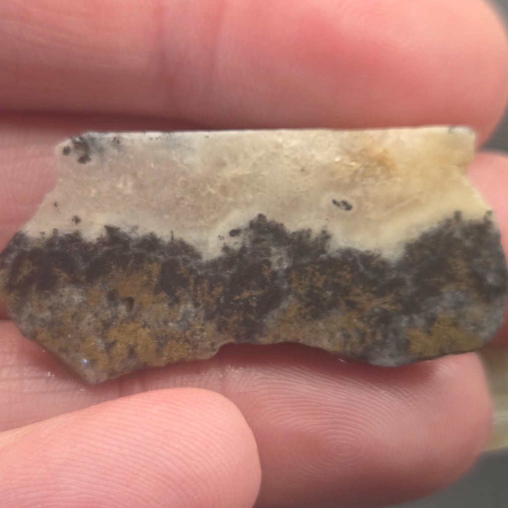 Native Gold in Quartz, McLaughlin Mine, California, 5.97 grams — natural mineral specimen