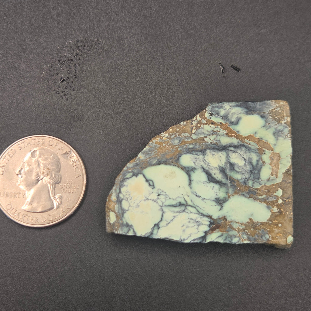 Detail of Angel Wing Variscite