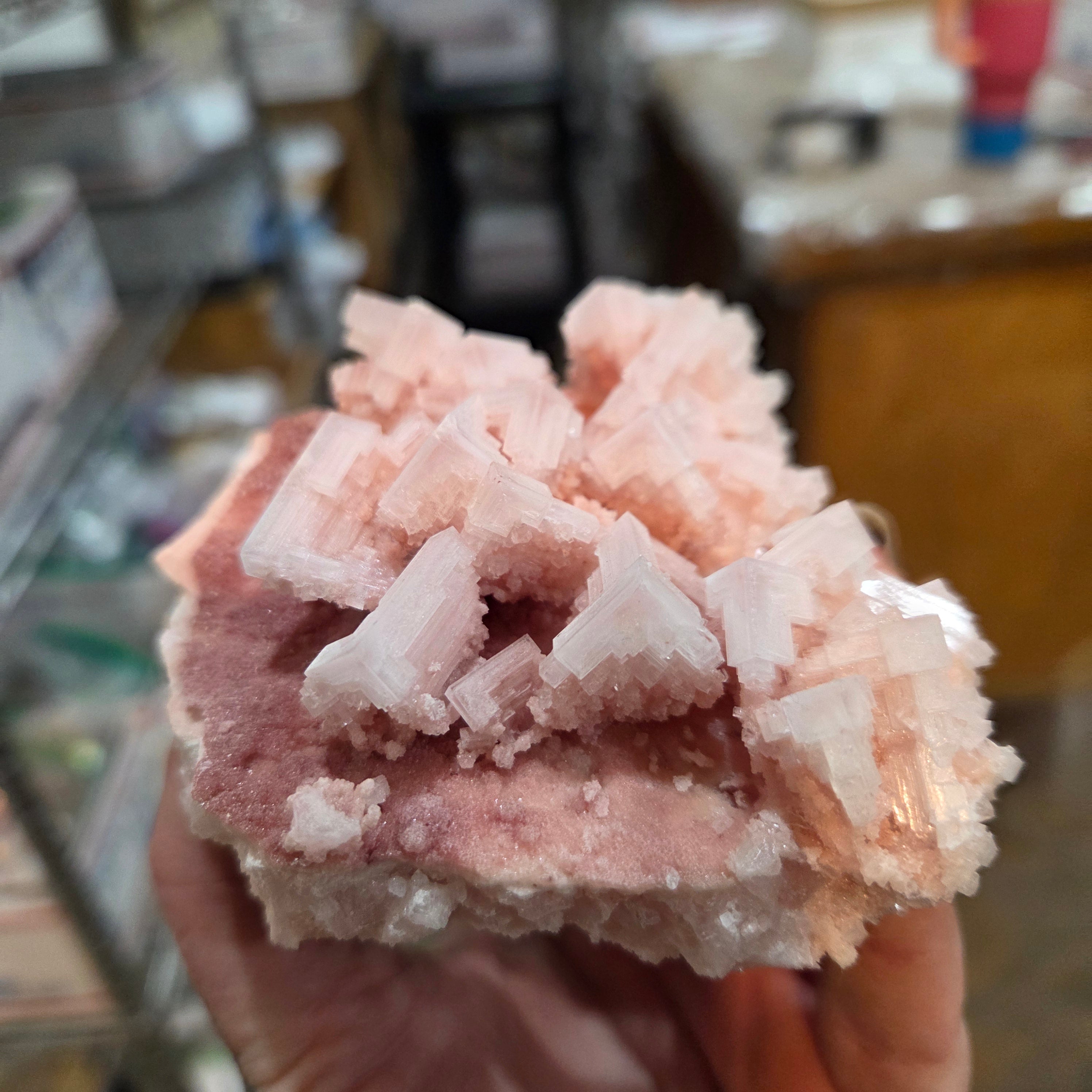 California Pink Halite Collector Specimen