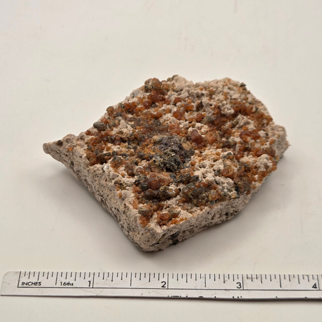Fujian spessartine garnet specimen on cream feldspar matrix