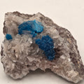 Bright electric-blue cavansite rosettes on pale zeolite matrix, India mineral specimen