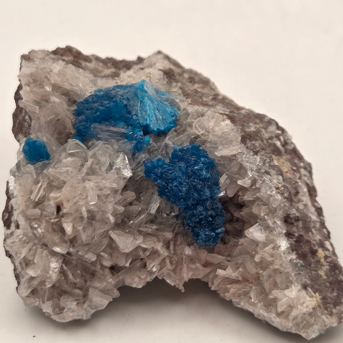 Bright electric-blue cavansite rosettes on pale zeolite matrix, India mineral specimen