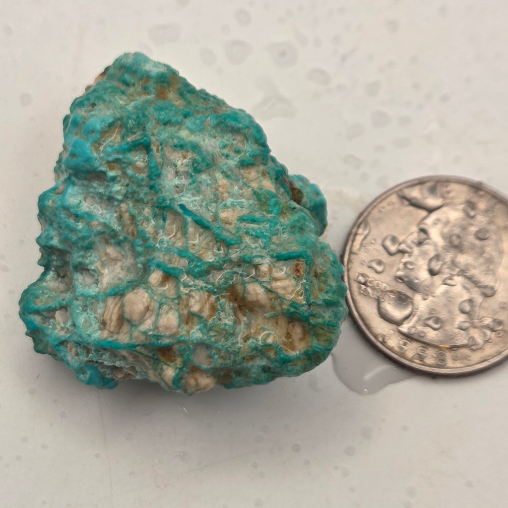 Alternate view of Natural Fox Turquoise parcel
