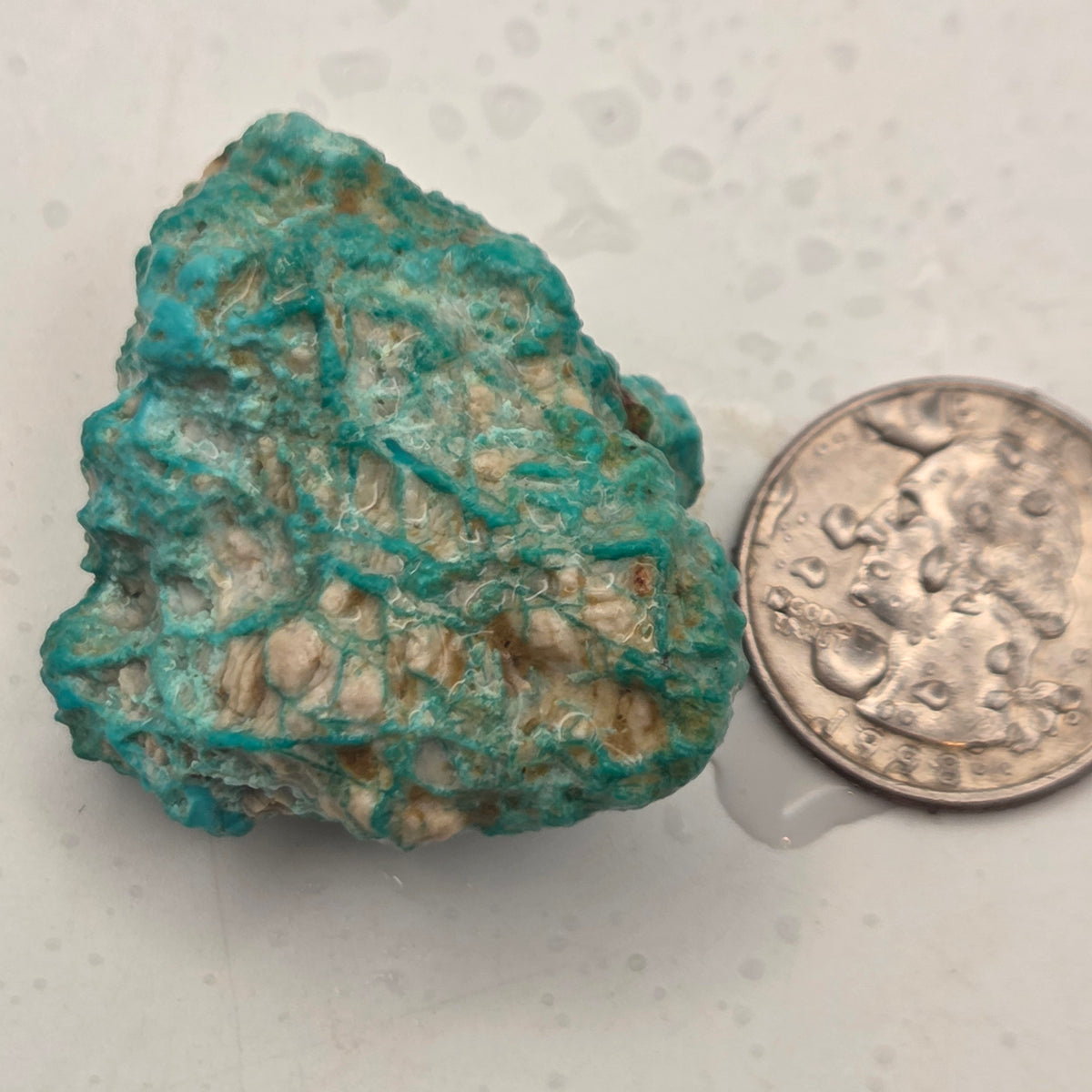 Alternate view of Natural Fox Turquoise parcel