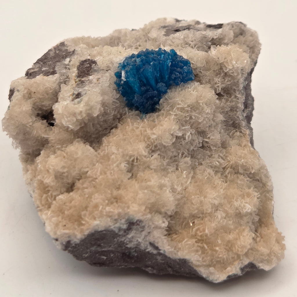 Electric-blue cavansite crystal rosettes on white zeolite matrix, natural mineral specimen from Wagholi, India