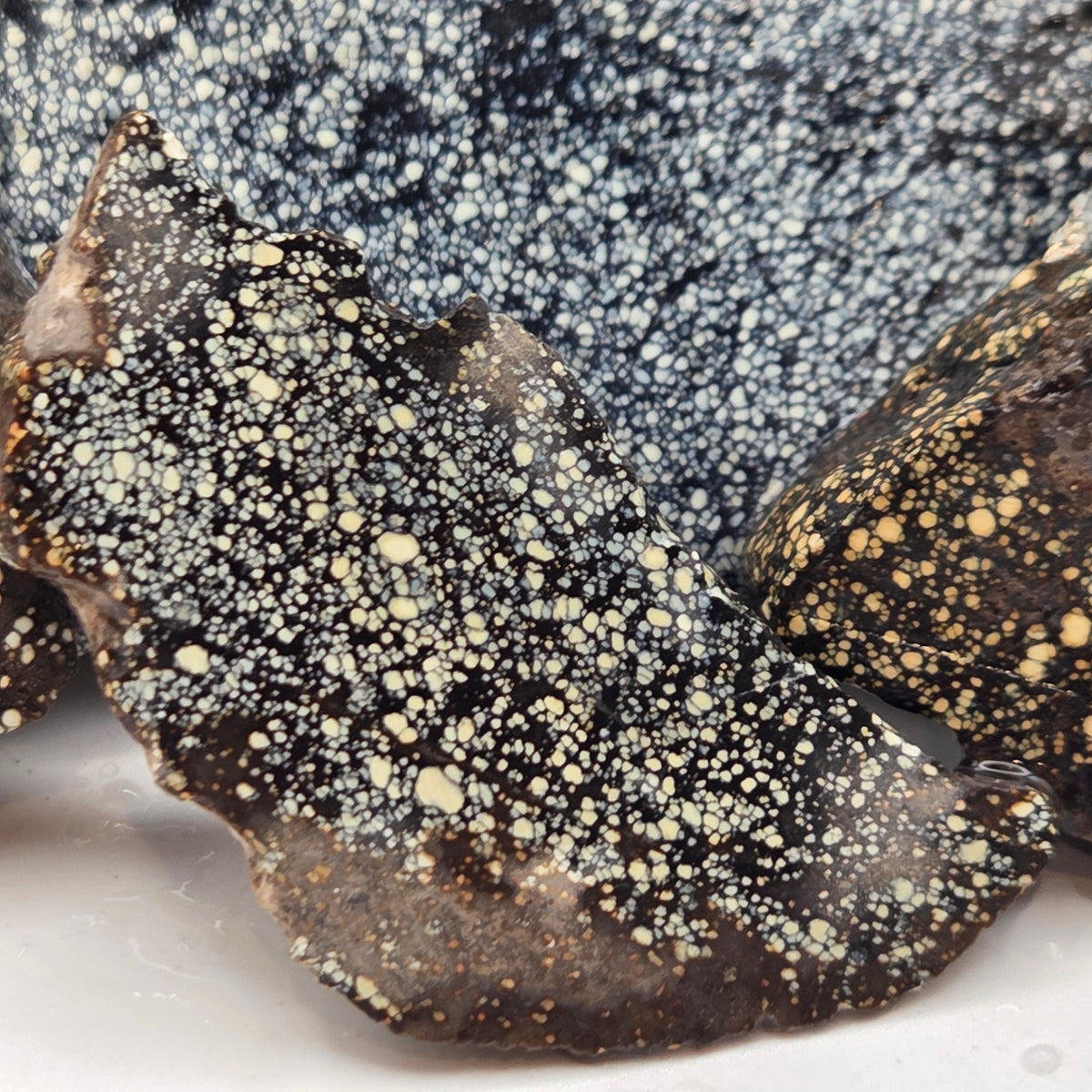 Close-up of Old Stock New Lander Variscite