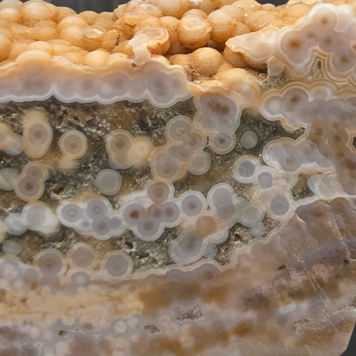 Alternate view of Polished Ocean Jasper Slab