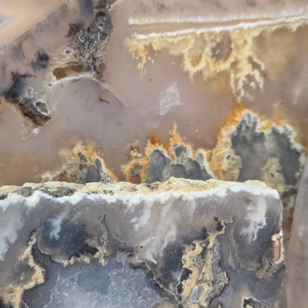 Alternate view of Graveyard Point Plume Agate Slabs