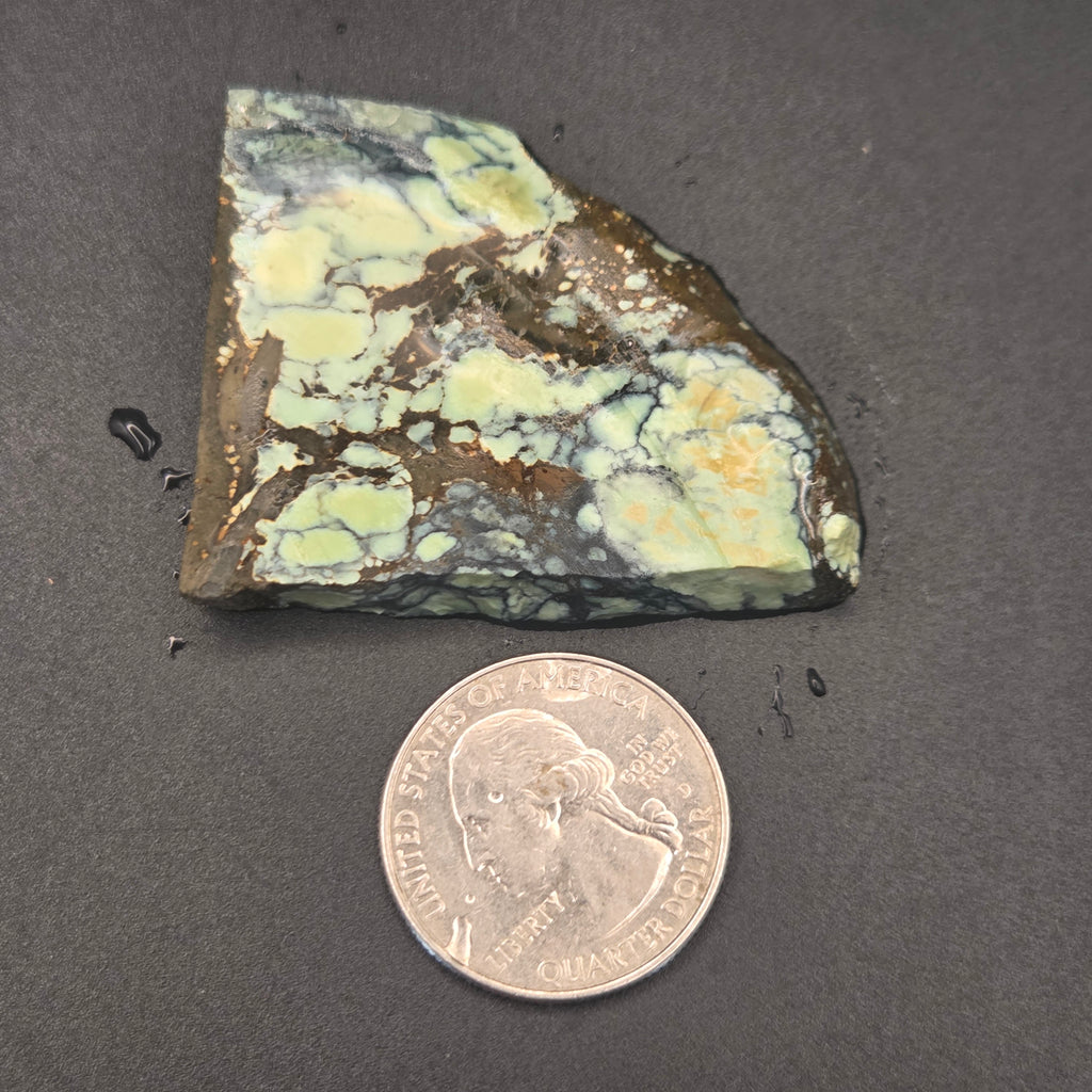Close-up of Angel Wing Variscite