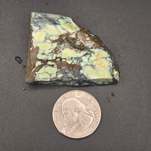 Angel Wing Variscite 20.28 grams