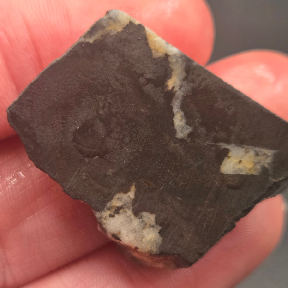 Detail of Native Gold in Quartz, McLaughlin Mine, California