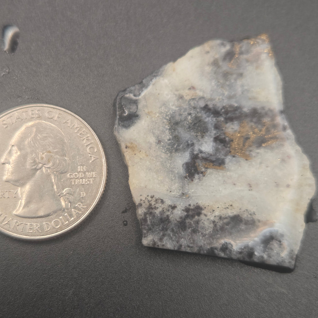 Close-up of Native Gold in Quartz, McLaughlin Mine, California