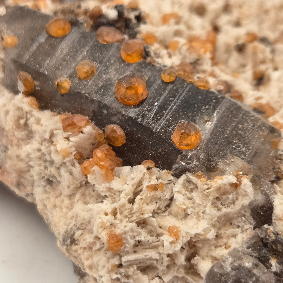 Close-up of fiery spessartine garnet crystals on translucent smoky quartz